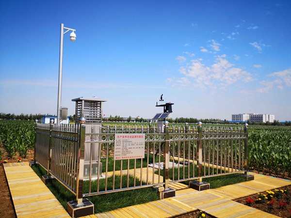 97����ֲ����Ʒ