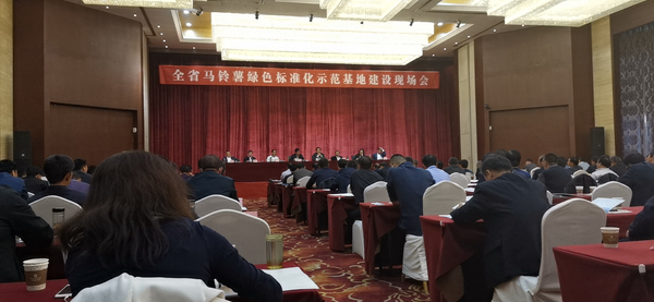 ����ʡȫʡ��������ɫ��׼����ģ���ؽ����ֳ����ڶ����а������ٿ�