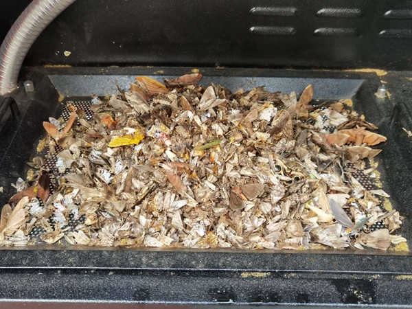 ��е�ղ���ɺ�ĳ��壨���֣�