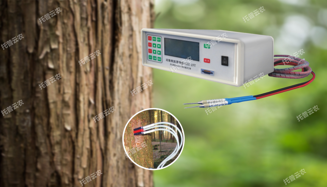 ֲ�ﾥ����