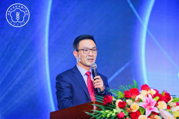 ��һ�����»���������᳤����