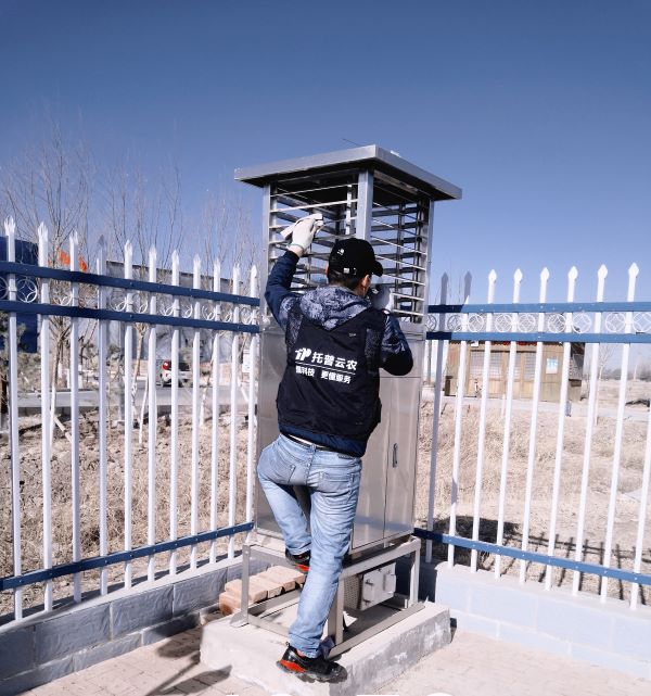 ֲ����������������Ѳ��Ч��