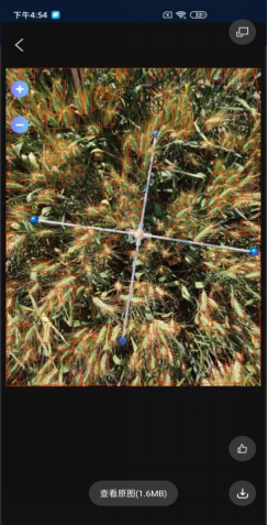 С��Ķ��������ϵͳ��������