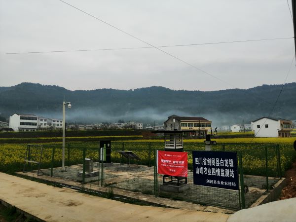 97���ʲ��溦����