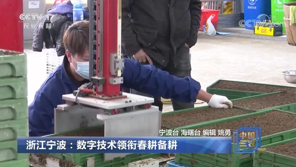 ���㽭�����������������δ���������������