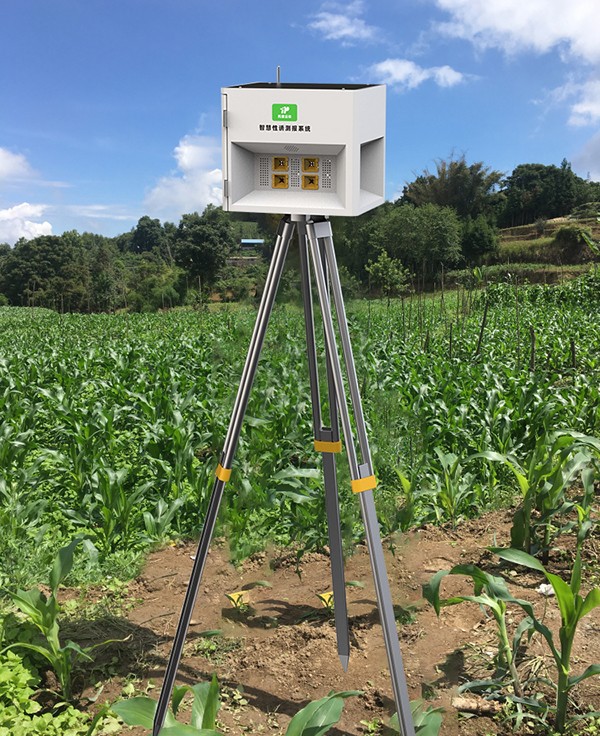 �����������ܲⱨϵͳ