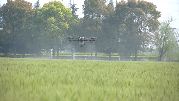 ������ũ������ģ����