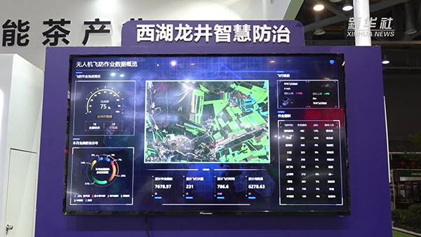 ���������ǻ۷���ƽ̨