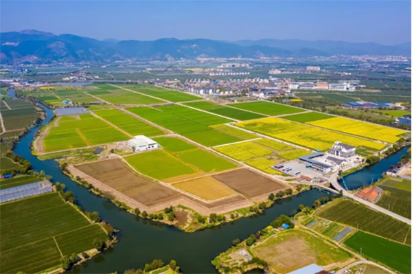 ���ִ�������ũҵ��Ŀ����Ч��