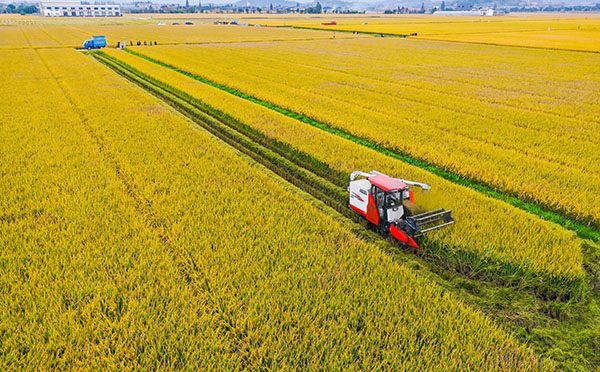 ���ִ�������ũҵ��Ŀ����Ч��