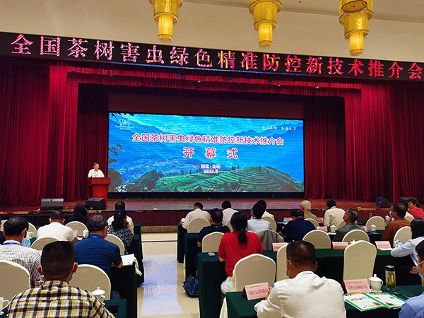 ���²���������ɫ��׼���������ƽ�����