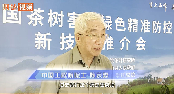 ���²���������ɫ��׼���������ƽ�����