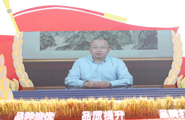 ũҵũ�岿����������������Ƶ����