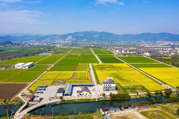 97���ʣ��������ս���� ���ҵ���������롱