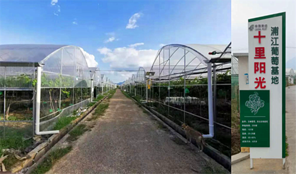 ���ֽ�������ũ����