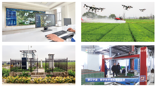 Äþ²¨º£Êï¹ÅÁÖÊý×Ö´óÌï Äþ²¨º£Êï¹ÅÁÖÊý×Ö´óÌï