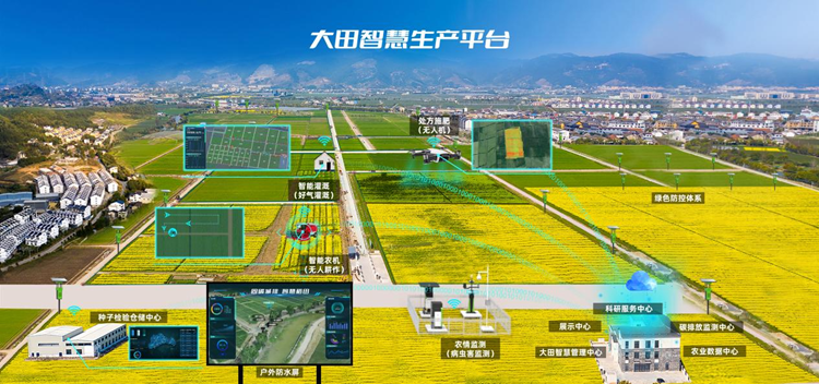 �����ǻ�����