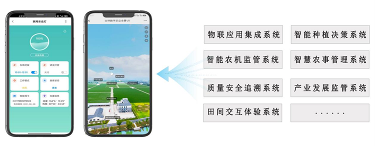 �����ǻ�����