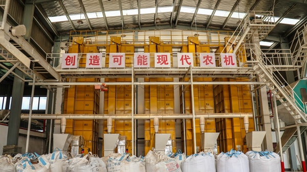 97���ʴ���Ĺ�����������