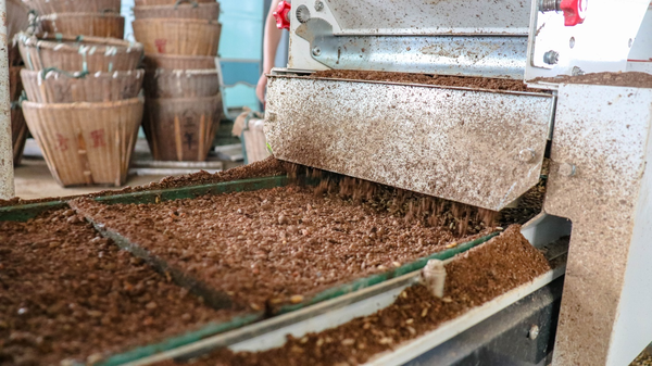 97���ʴ���Ĺ�����������