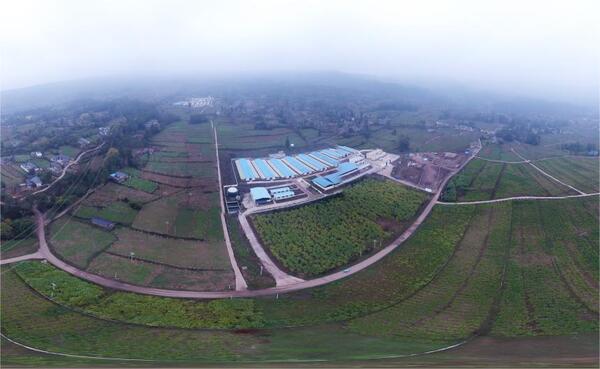 �����Ĵ�����������97����Ϊũҵ���ֻ�����Ч��