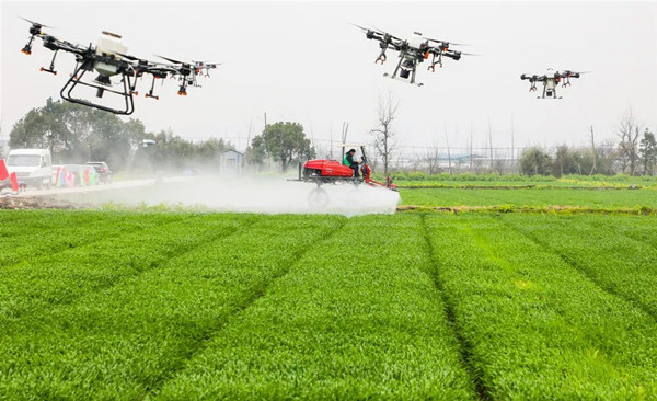 ��������������ִ���