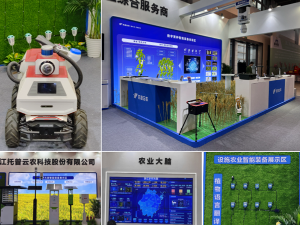 97���������й�(����)����ũ��װ��չ����