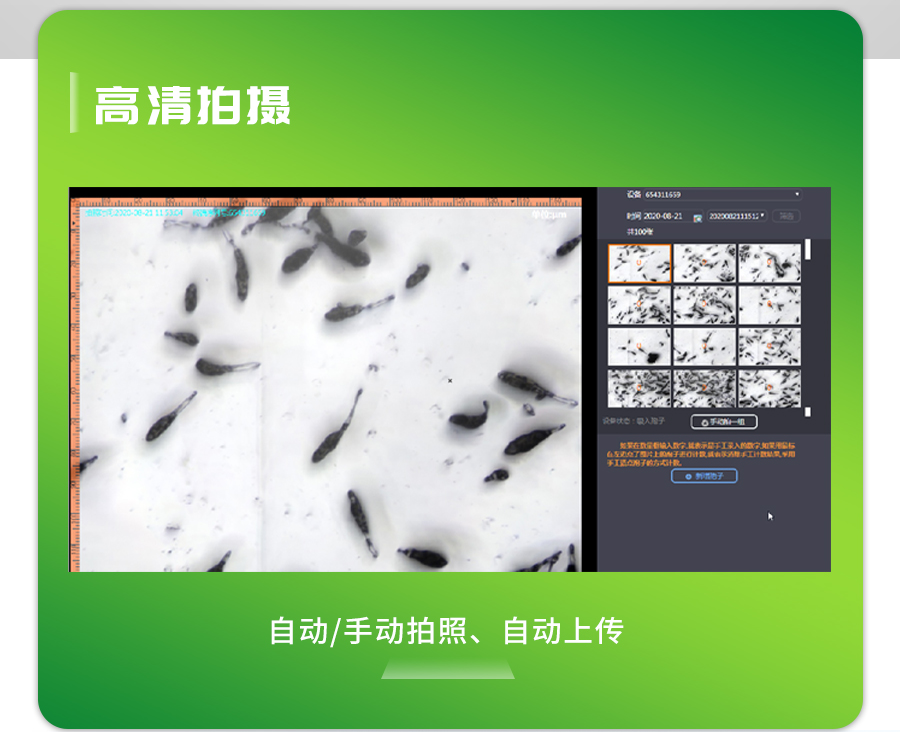 �������Ӳ�����