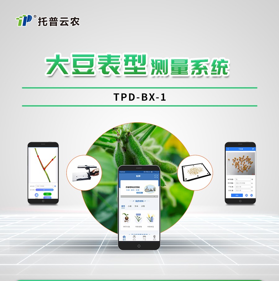 �󶹱��ͼ����