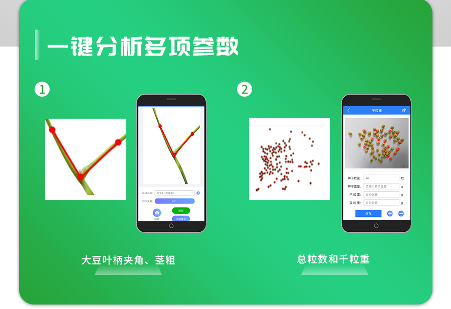 �󶹱��ͼ����