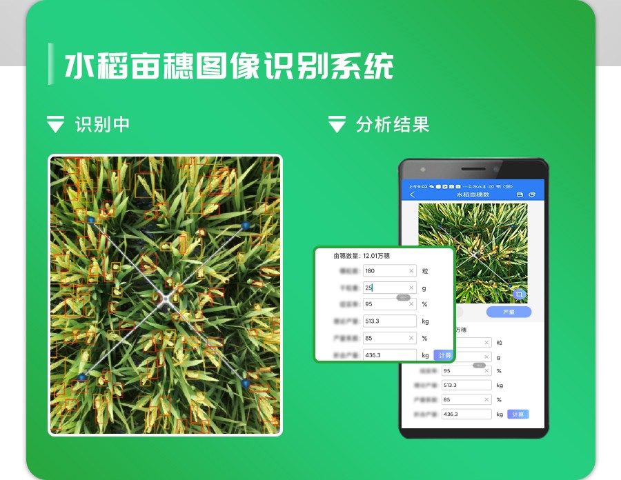 Ë®µ¾Ä¶ËëÊýÕÉÁ¿ÏµÍ³ Ë®µ¾Ä¶ËëÊýÕÉÁ¿ÏµÍ³