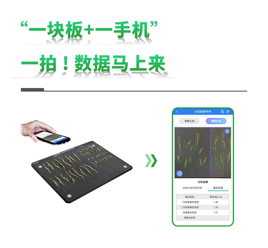 ˮ�����뿼������ϵͳ