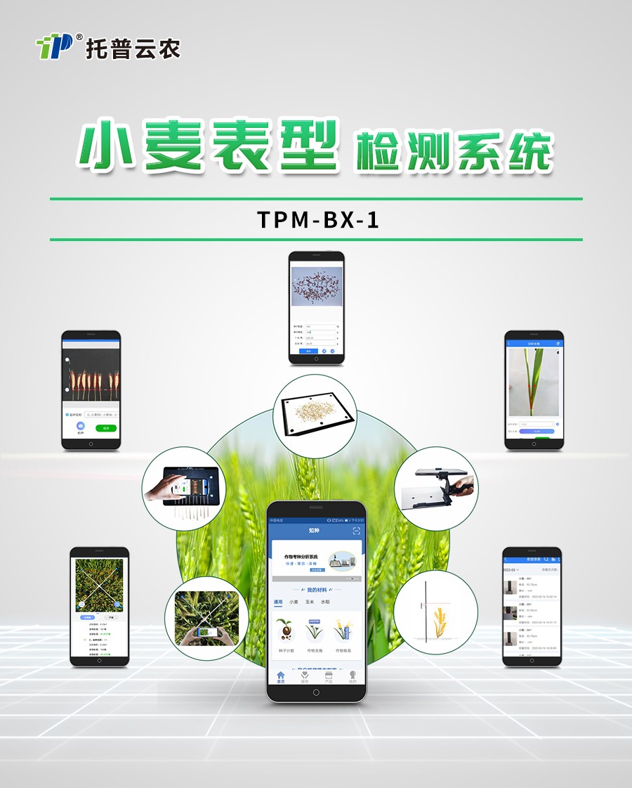 С����ͼ����