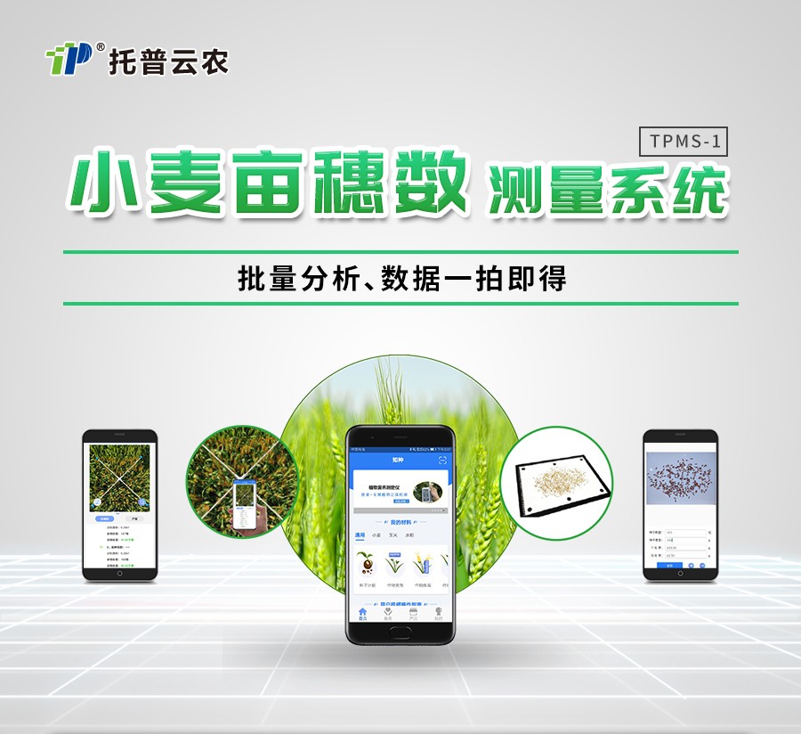 СÂóĶËëÊýÕÉÁ¿ÒÇ Ð¡ÂóĶËëÊýÕÉÁ¿ÒÇ