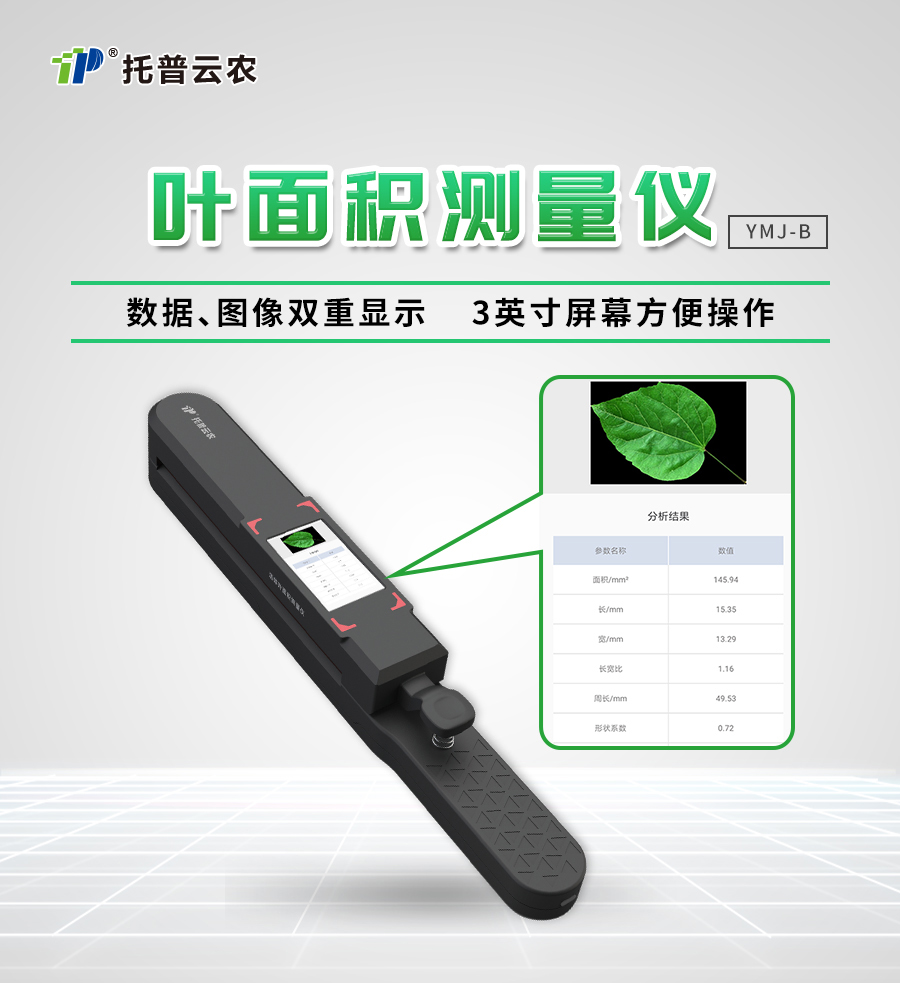 ����Ҷ���������