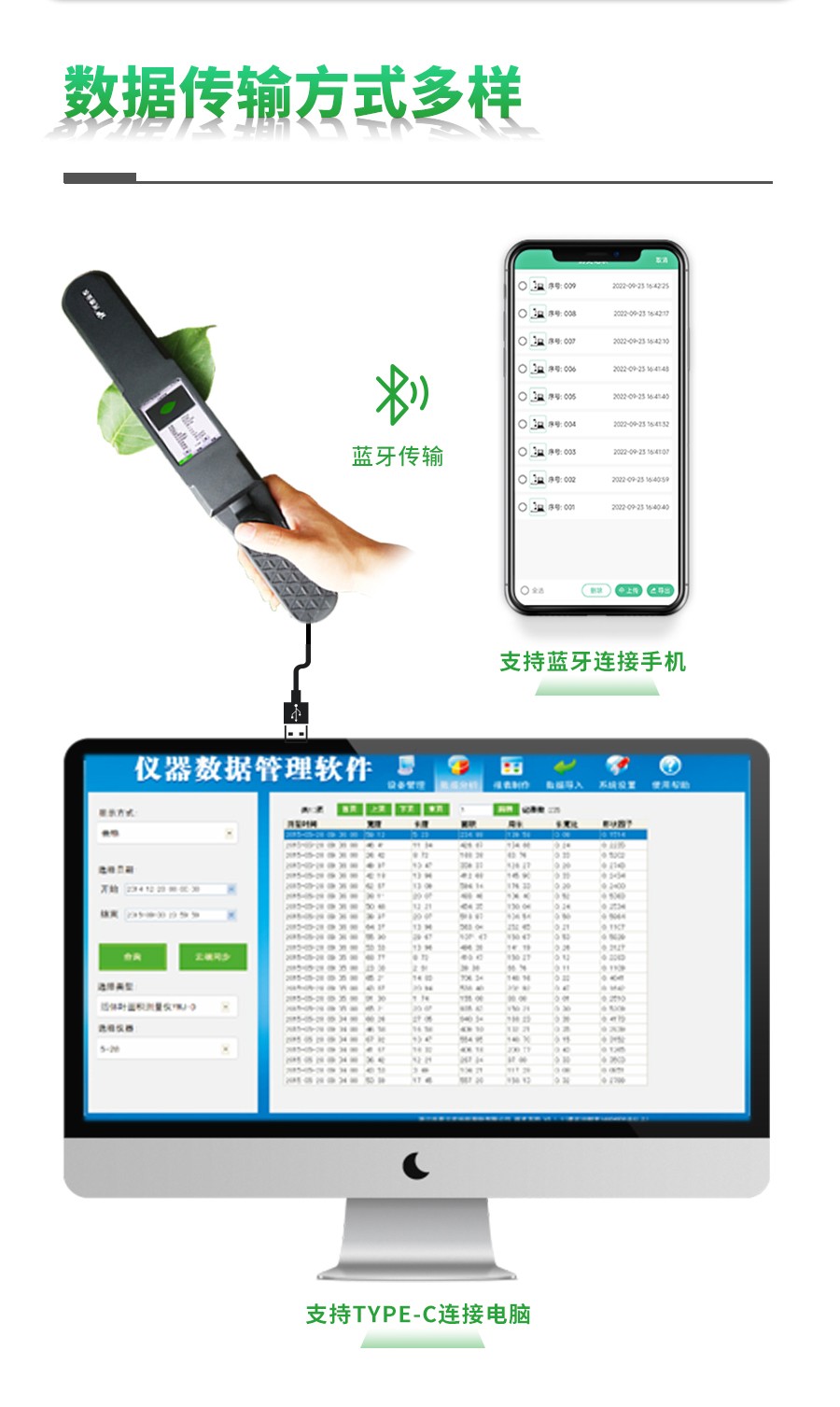 ����Ҷ���������