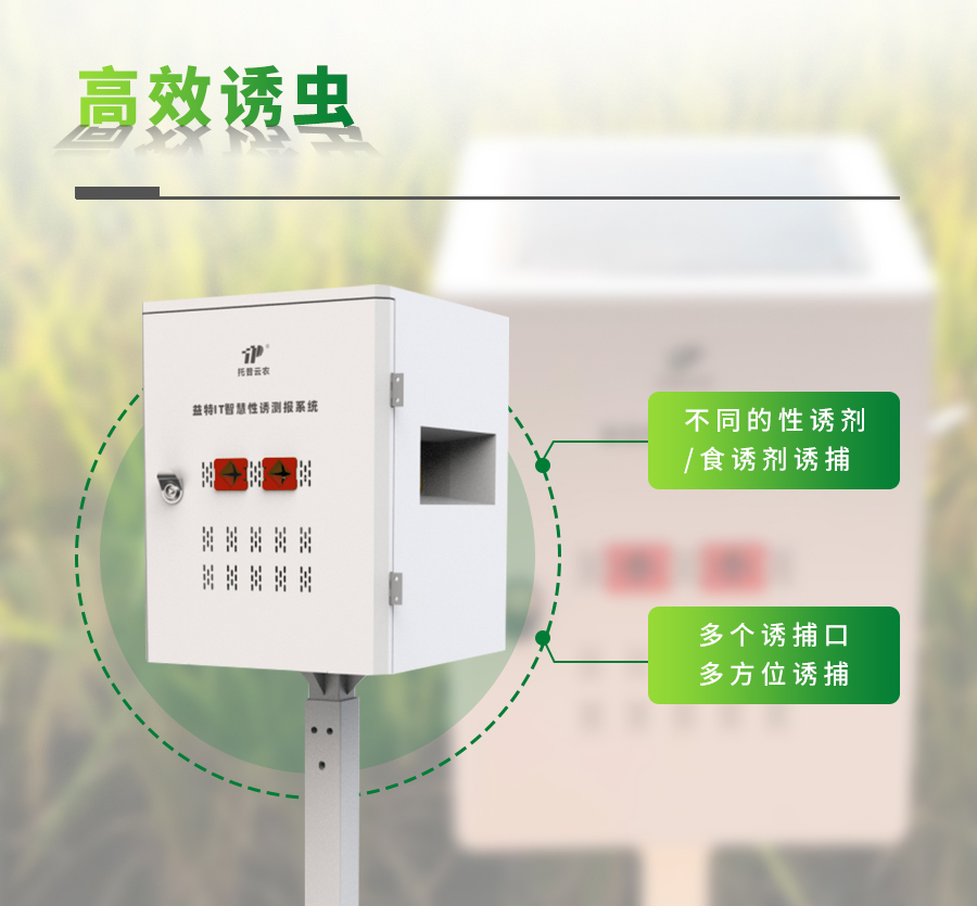 ����IT�ǻ����ղⱨϵͳ