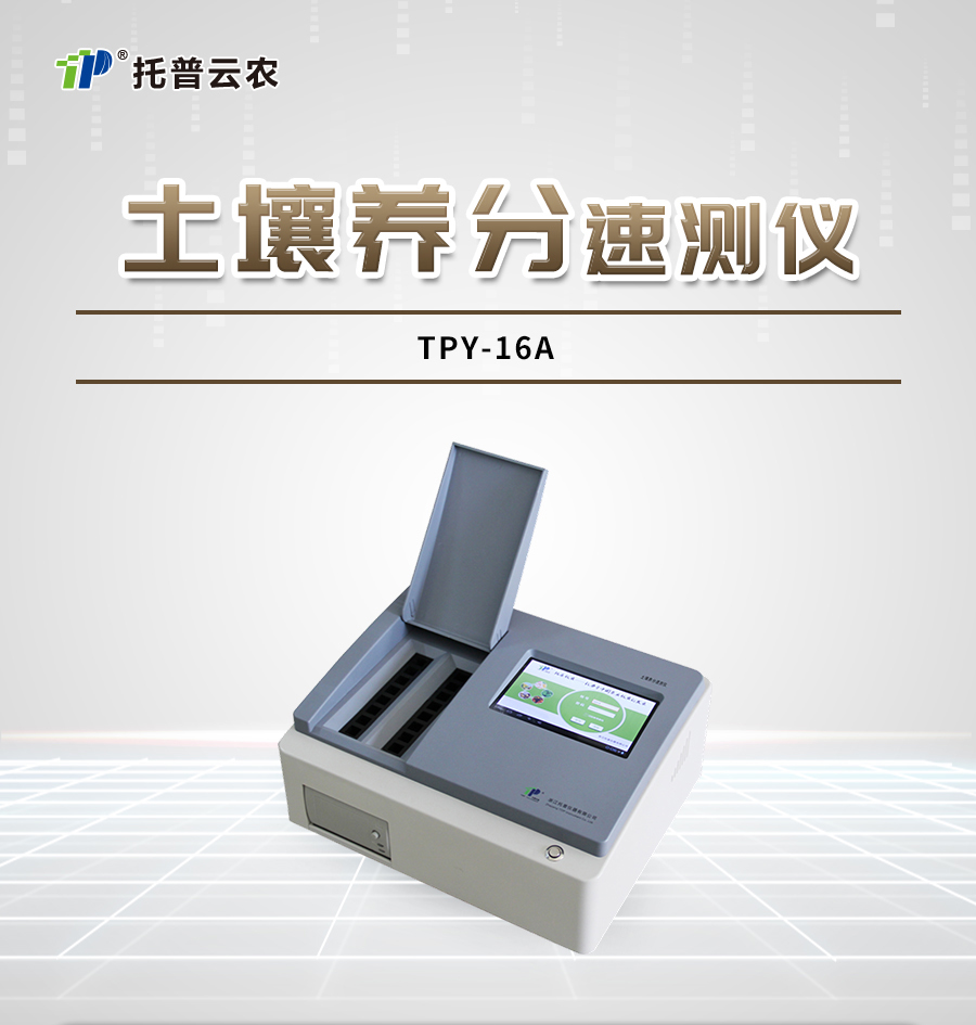 �����������ּ����