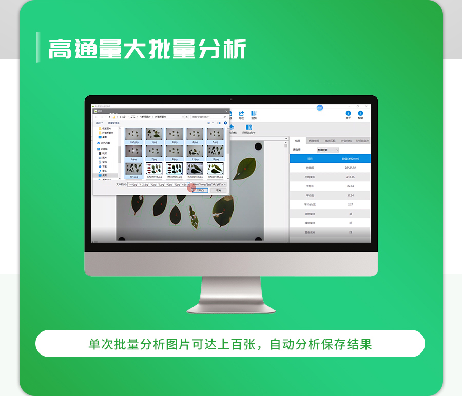 ����ʽҶ���������