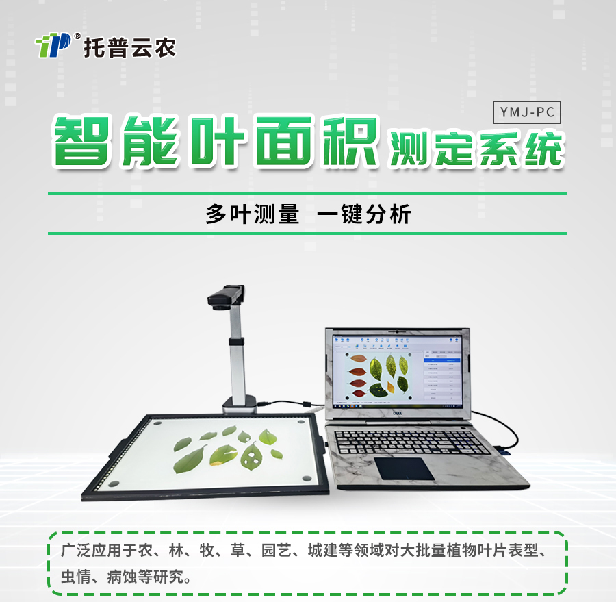 ����ʽҶ���������