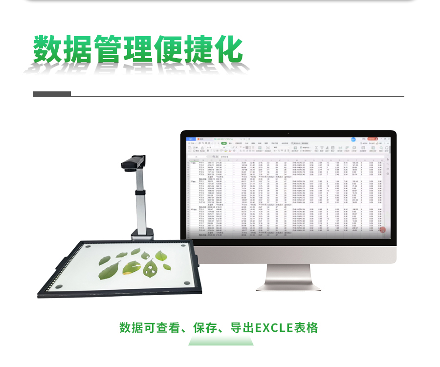 ����ʽҶ���������