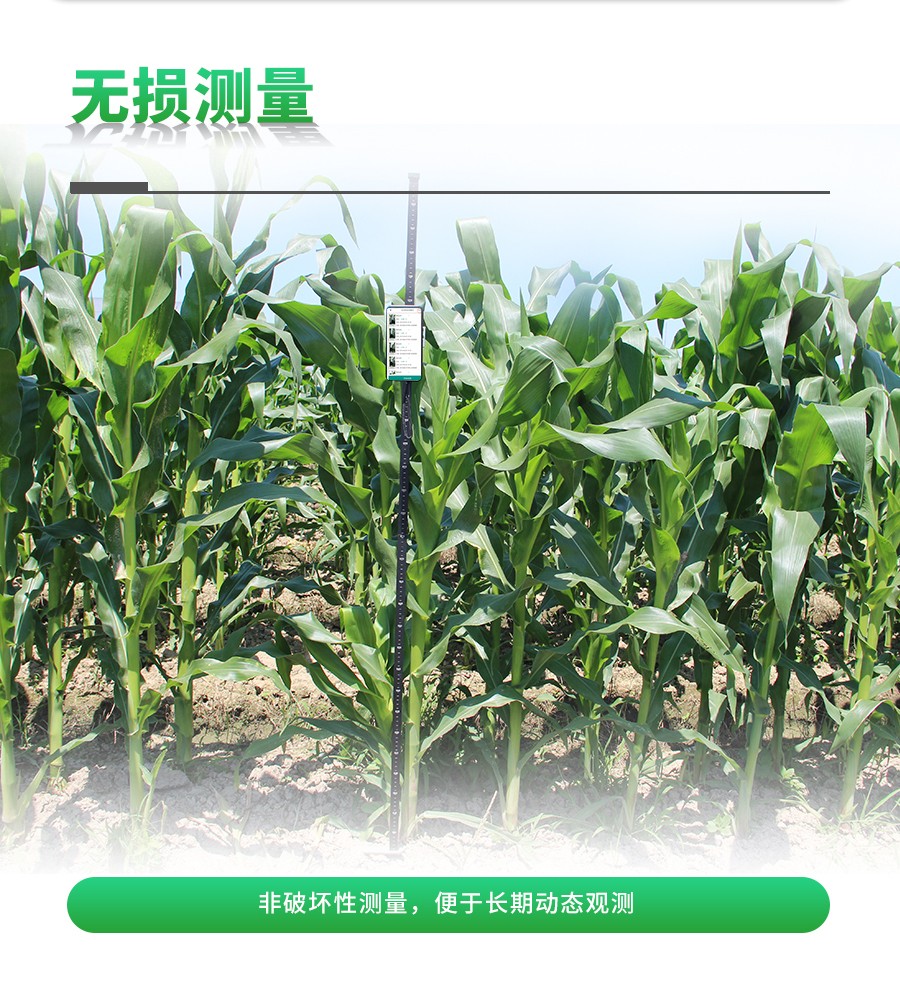 ������������ϵͳ