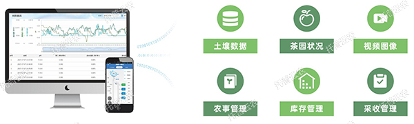 1685947118914703.jpg 3.jpg