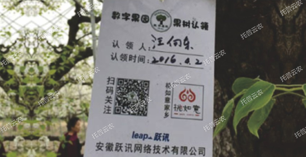 1685947190670135.jpg 5.jpg