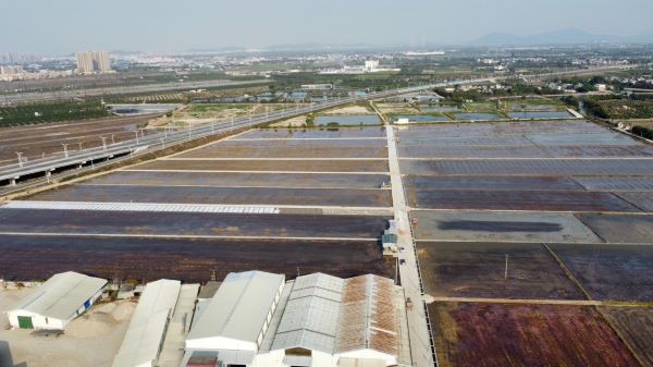 1699434097739878.jpg ½ÃÅ.jpg