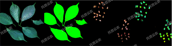 1722995310993469.jpg ¸ß¹âÆ×Ö²ÎïÊý×ÖÊÕÂÞÆÊÎöϵͳ-1.jpg