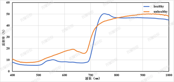 1722995322660540.jpg ¸ß¹âÆ×Ö²ÎïÊý×ÖÊÕÂÞÆÊÎöϵͳ-2.jpg