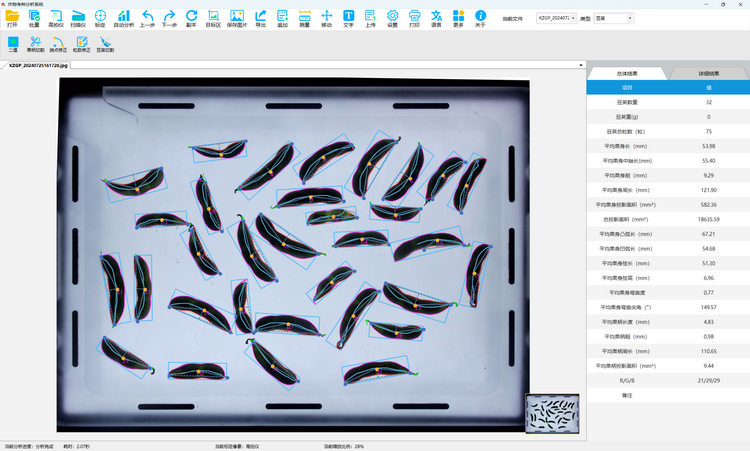 1. ���Ա��Ͳⶨ ��Ч��.png