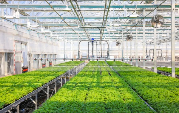 1739869840539013.jpg л¾¶°²ÖÐÐÄ_¸±±¾.jpg