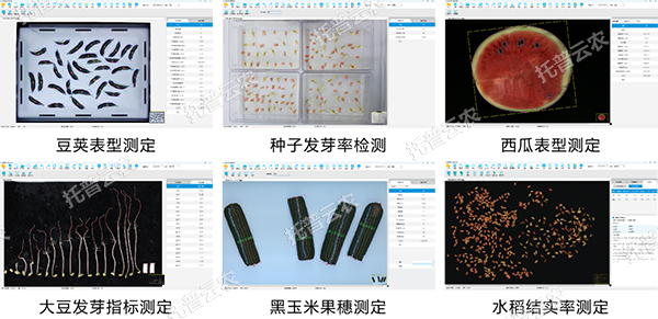 1745227948667292.png ͼƬ5.png